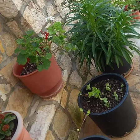 Himara Apartments * هيماري